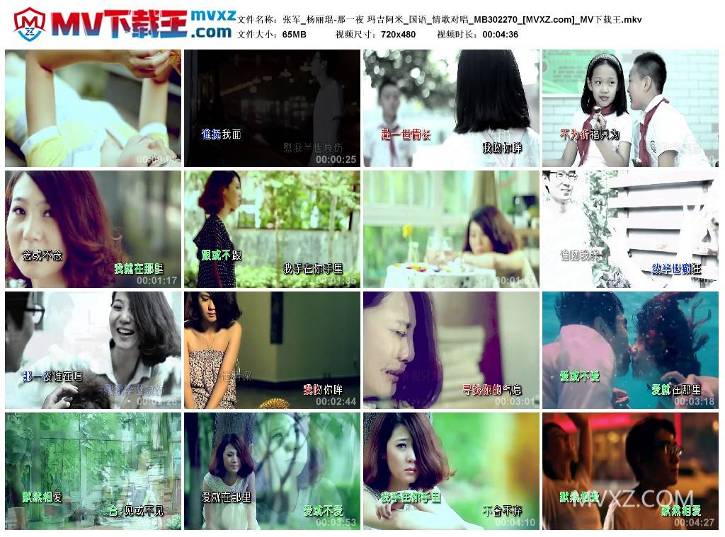 张军_杨丽琨-那一夜 玛吉阿米_国语_情歌对唱_MB302270